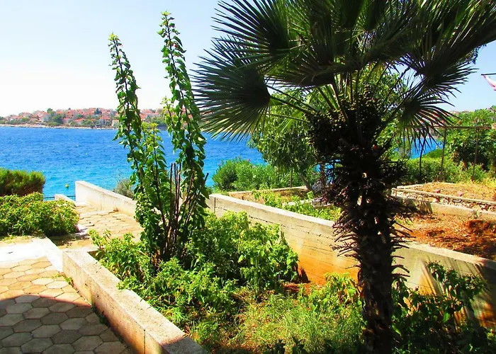 Dominika * Trogir